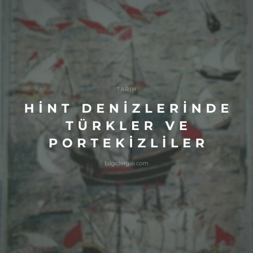hint denizlerinde türkler ve portekizliler